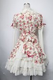 画像2: Angelic Pretty / Labyrinth of Roseワンピース  アイボリー S-25-03-23-1053-AP-OP-HR-ZS (2)