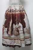 画像1: axes femme NOSTALGIE / 絵画柄スカート  ブラウン S-25-04-06-080-AX-SK-HR-ZS (1)