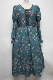 画像1: axes femme Nostalgic / ボタニカル柄レースアップワンピース  グリーン S-25-04-12-061-LO-OP-HR-ZS (1)