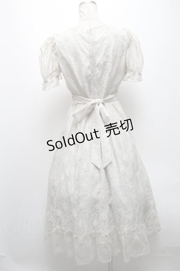 画像2: evelyn / レース半袖ロングワンピース  ベージュ S-25-04-19-050-LO-OP-HR-ZS (2)