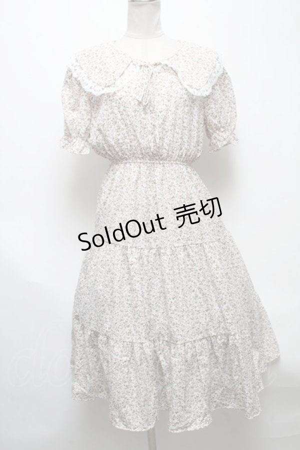 画像1: axes femme POETIQUE / ビッグ襟花柄ワンピース  白 S-25-04-28-030-AX-OP-HR-ZS (1)