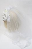 画像4: LOLITA / ヴェール付きカチューシャ  白 S-25-05-05-1004-LO-AC-AS-ZS (4)