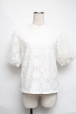 画像1: axes femme / お花レースプルオーバー  白 S-25-06-11-030-AX-TO-AS-ZS (1)