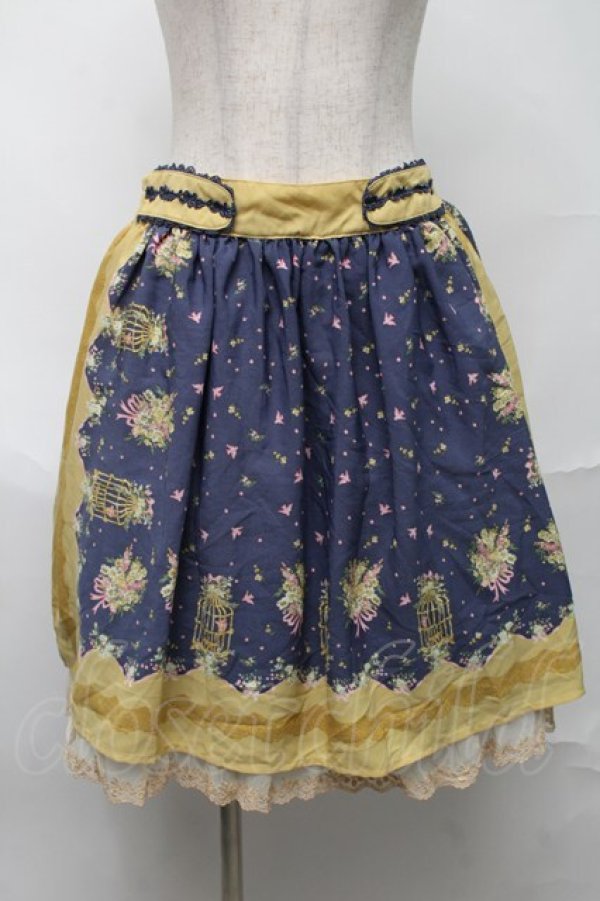 画像1: axes femme / スカート   S-25-08-17-058-AX-SK-AS-ZS (1)