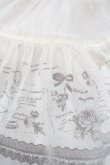 画像3: axes femme / スカート   S-25-08-20-049-AX-SK-AS-ZS (3)