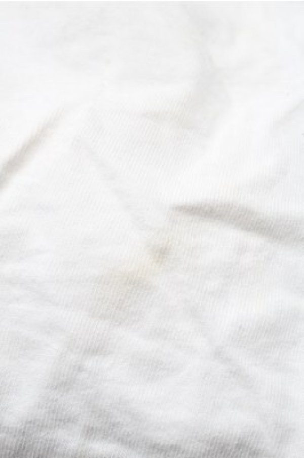 画像3: NieR Clothing / プリントTシャツ  白 S-25-08-25-009-PU-TO-HR-ZT354 (3)