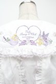 画像3: Amavel / Bunny＆Chick Festival ブラウス  白 S-25-09-10-011-CA-BL-AS-ZS (3)
