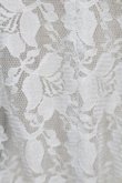 画像3: Angelic Pretty / Lacy Girlブラウス  グレー S-25-09-12-049-AP-BL-HR-ZT065 (3)