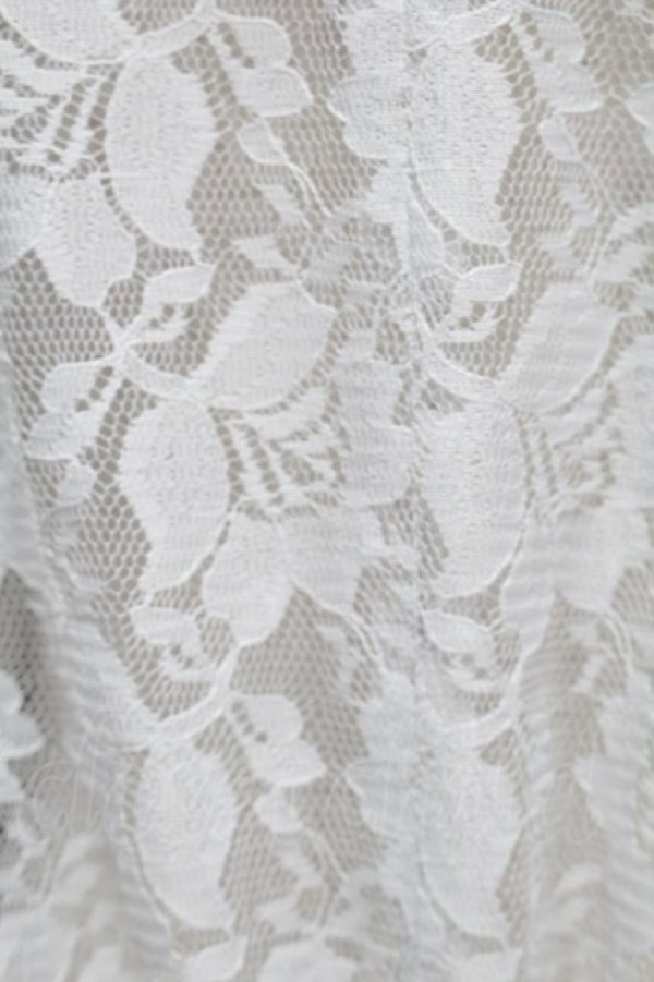 画像3: Angelic Pretty / Lacy Girlブラウス  グレー S-25-09-12-049-AP-BL-HR-ZT065 (3)