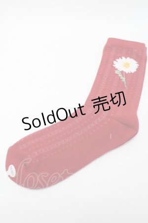画像: PINK HOUSE / ひなぎくモチーフソックス  赤 S-25-09-23-1022-LO-ZA-HR-ZS