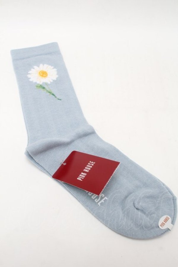 さこページ PENCO ステンレスシザーズ Lサイズ【メール便可】 - ゼネラル