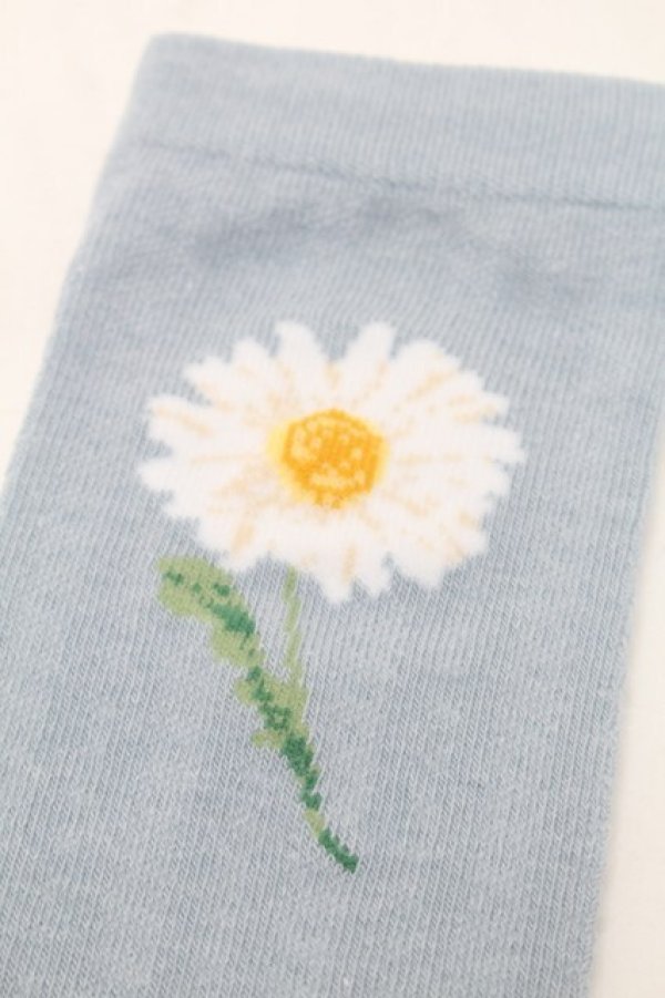 画像3: PINK HOUSE / ひなぎくモチーフソックス  サックス S-25-09-23-1029-LO-ZA-HR-ZS (3)