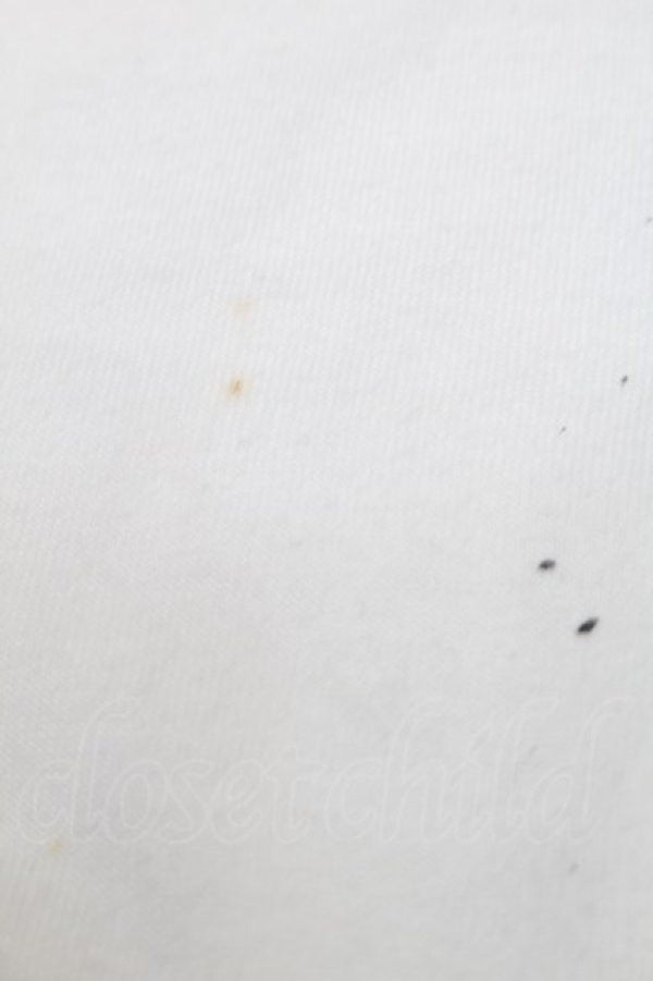 画像7: Ank Rouge / ゴシックプリントBigTe  白 S-25-09-24-003-CA-TS-HR-ZT051 (7)