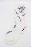 画像1: PINK HOUSE / ラベンダーモチーフソックス  アイボリー S-25-09-29-004-LO-ZA-HR-ZS (1)