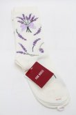 画像2: PINK HOUSE / ラベンダーモチーフソックス  アイボリー S-25-09-29-004-LO-ZA-HR-ZS (2)