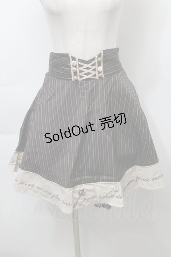 画像1: axes femme POETIQUE / ハイウエスト刺繍スカート  ブラウン S-25-10-03-063-AX-BL-AS-ZS (1)