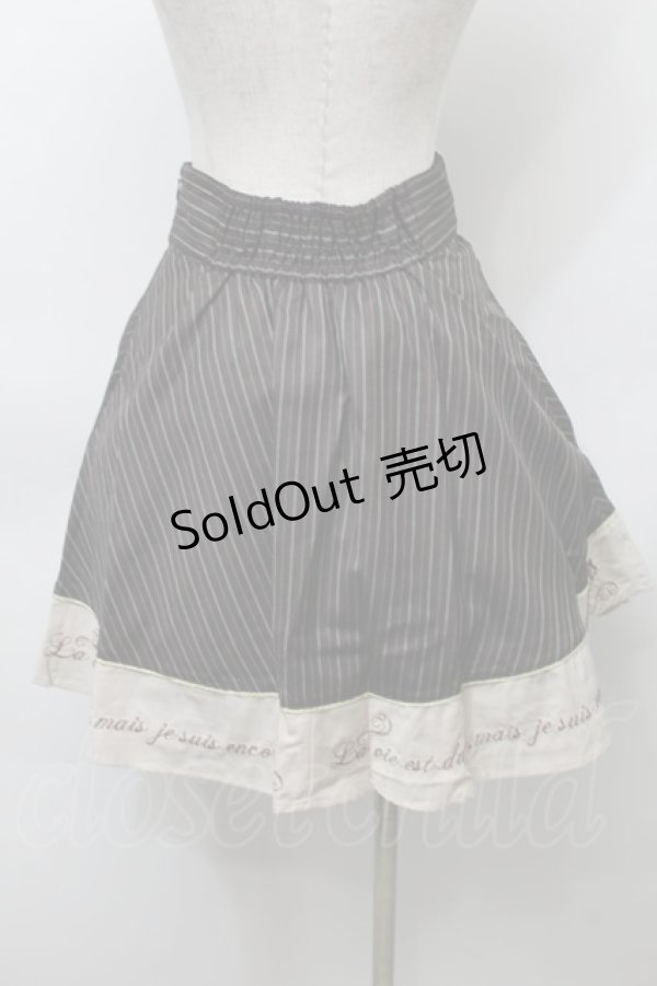 画像2: axes femme POETIQUE / ハイウエスト刺繍スカート  ブラウン S-25-10-03-063-AX-BL-AS-ZS (2)