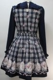 画像2: LIZ LISA / チェックローズワンピース  紺 S-25-10-27-021-LO-OP-HR-ZS (2)