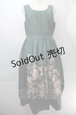 画像: axes femme NOSTALGIE / 薔薇パネル柄ジャンスカ  グリーン S-25-10-29-045-AX-OP-AS-ZS