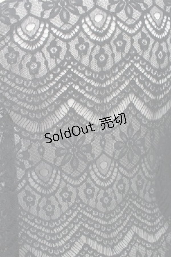 画像3: axes femme / ロング丈レースガウン  黒 S-25-11-07-019-AX-TO-HR-ZS (3)