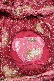 画像4: PINK HOUSE / Flower Picnic プリントパッチワークワンピース  赤 S-25-11-14-041-LO-OP-AS-ZS (4)