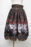 画像1: ALICE and the PIRATES / 運命のアルカナと星が導く FORTUNE TELLER柄スカート  イグニス(黒) S-25-11-28-1056-PA-SK-AS-ZS (1)