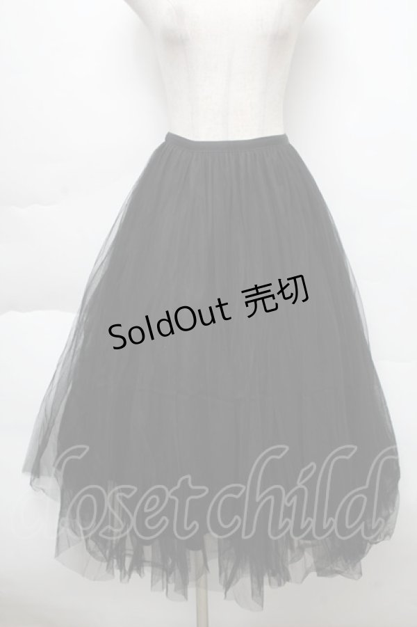 画像1: titty&Co. / チュールロングスカート  黒 S-25-12-02-049-LO-SK-HR-ZS (1)