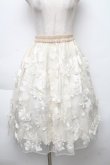 画像1: LOLITA / 花デザインオーガンジースカート  キナリ S-25-12-02-051-LO-SK-HR-ZS (1)