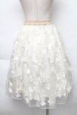 画像2: LOLITA / 花デザインオーガンジースカート  キナリ S-25-12-02-051-LO-SK-HR-ZS (2)