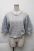 画像1: axes femme POETIQUE / 袖チュール切替ラメニットプルオーバー  グレー S-25-12-04-028-AX-TO-HR-ZS (1)