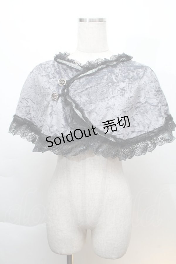 画像1: 危機裸裸商店 / レースケープ  グレー S-25-12-06-005-GO-TO-HR-ZS (1)