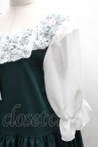 画像3: HirokoTokumine / レースカラーワンピース  グリーン S-25-12-08-039-LO-OP-AS-ZT516 (3)