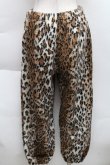 画像2: HELL CAT PUNKS / レオパードパンツ  ブラウン S-25-12-11-058-PU-PA-AS-ZS (2)
