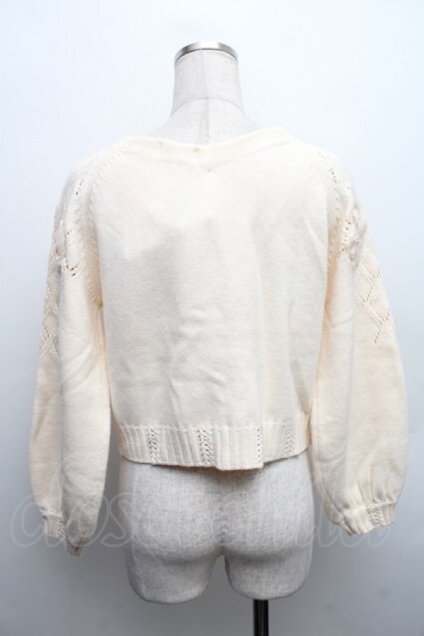 画像2: axes femme POETIQUE / 花モチーフ付きニット  キナリ S-25-12-17-016-AX-TO-HR-ZS (2)