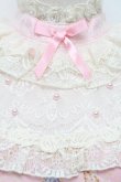 画像4: Angelic Pretty / Eternal Carnivalワンピース   S-25-12-20-018-AP-OP-AS-ZS (4)