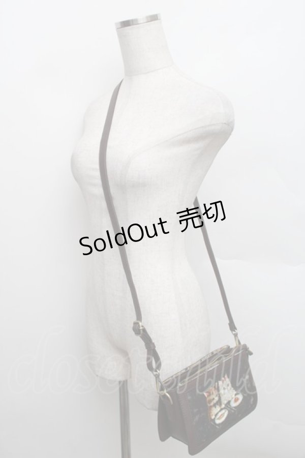 画像3: Franche Lippee / Diary ショルダーバッグ  黒 S-25-12-25-014-LO-BL-HR-ZS (3)