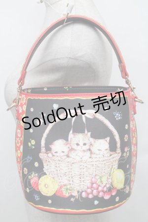画像: Franche Lippee / バスケットねこバッグ  黒 S-25-12-25-016-LO-BL-HR-ZS