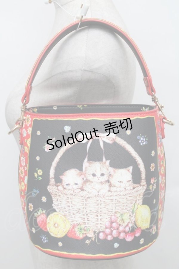 画像1: Franche Lippee / バスケットねこバッグ  黒 S-25-12-25-016-LO-BL-HR-ZS (1)
