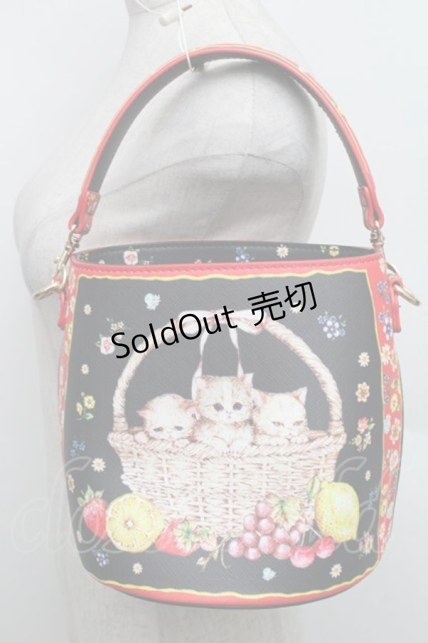 画像2: Franche Lippee / バスケットねこバッグ  黒 S-25-12-25-016-LO-BL-HR-ZS (2)