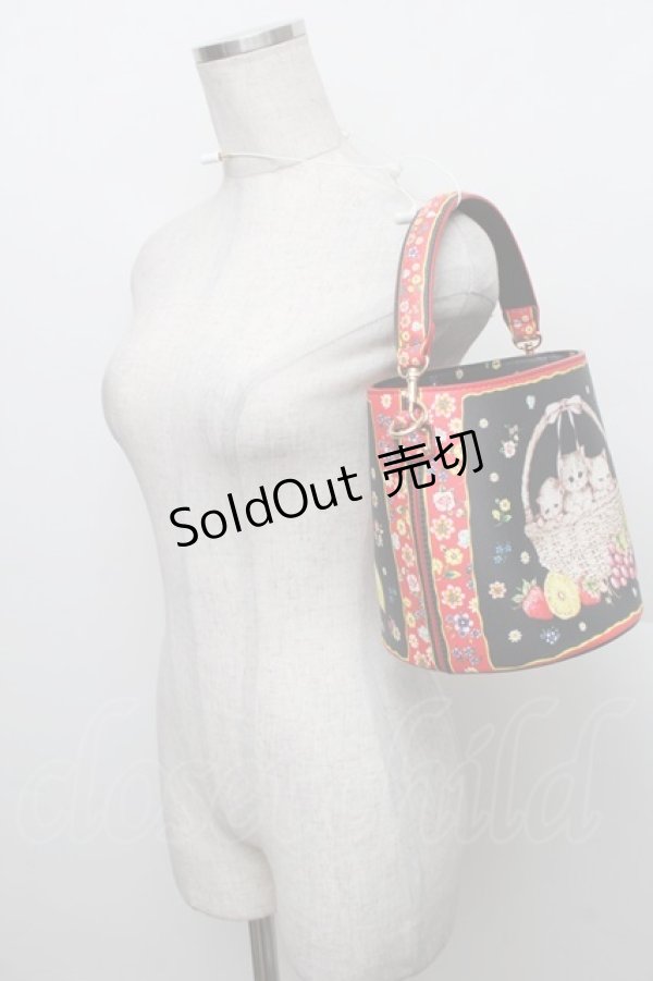 画像3: Franche Lippee / バスケットねこバッグ  黒 S-25-12-25-016-LO-BL-HR-ZS (3)