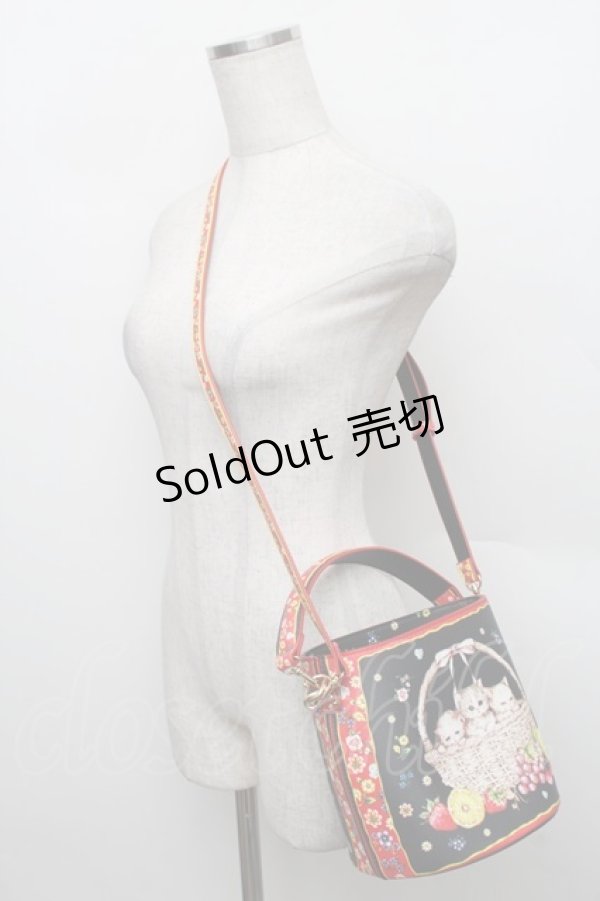 画像4: Franche Lippee / バスケットねこバッグ  黒 S-25-12-25-016-LO-BL-HR-ZS (4)