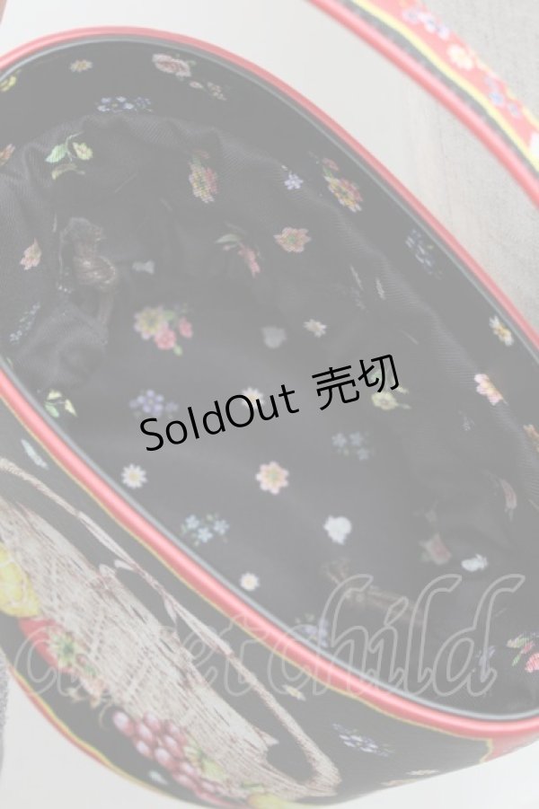 画像6: Franche Lippee / バスケットねこバッグ  黒 S-25-12-25-016-LO-BL-HR-ZS (6)