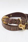 画像3: Q-pot. / Bitter Chocolate Dog Leash ＆Collar  ブラウン S-25-12-29-004-QP-BG-HR-ZS (3)