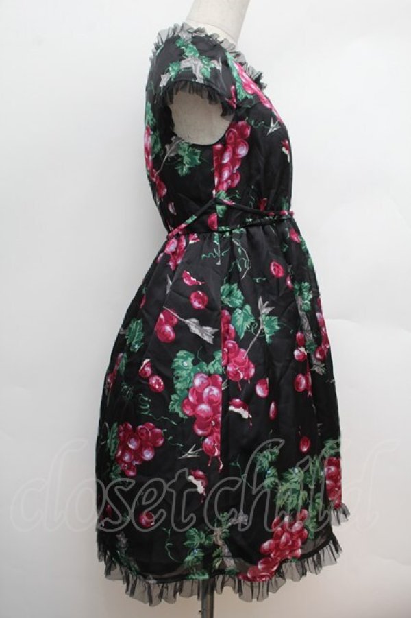 画像2: MILK / ぶどうの神話ベビードール  黒 S-26-01-04-052-ML-OP-HR-ZS (2)