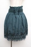 画像1: axes femme / ハイウエスト刺繍スカート  グリーン S-26-01-08-061-AX-SK-HR-ZS (1)