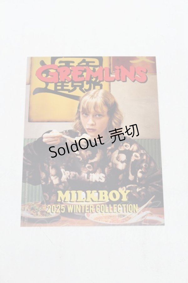 画像3: MILK / カタログ   S-26-01-16-001-ML-ZA-HR-ZS (3)