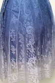 画像3: axes femme / グラデレースサーキュラースカート  ブルー S-26-01-21-051-AX-SK-AS-ZS (3)