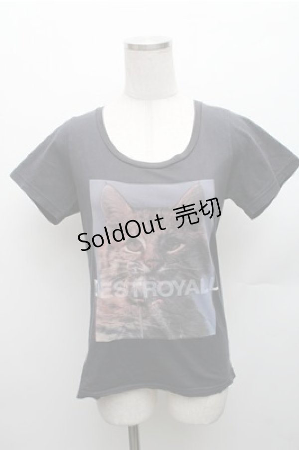画像1: HYSTERIC GLAMOUR / 猫プリントTシャツ F 黒 S-26-01-26-024-PU-TO-TE-ZS (1)