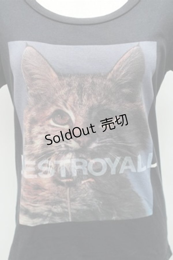 画像3: HYSTERIC GLAMOUR / 猫プリントTシャツ F 黒 S-26-01-26-024-PU-TO-TE-ZS (3)