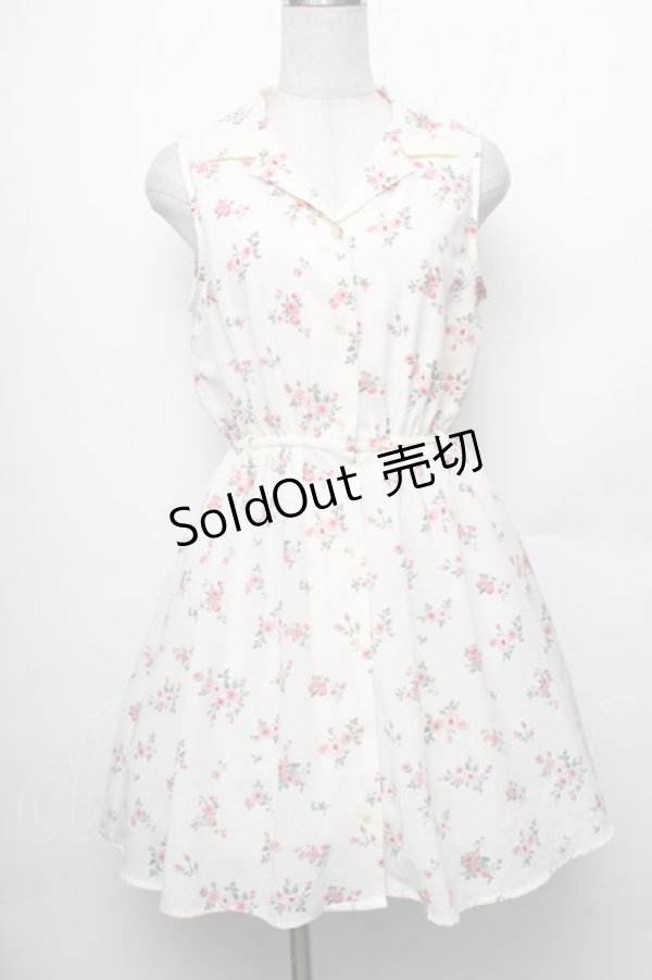 画像1: LOLITA / ローズ柄ノースリーブシフォンワンピース  キナリ S-26-01-28-038-LO-TO-HR-ZS (1)